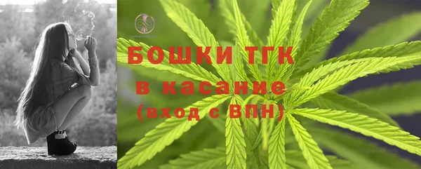 МДПВ Верхний Тагил